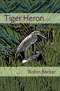 Cover Tiger Heron