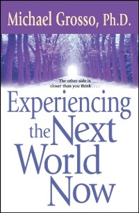 Cover Experiencing the Next World Now