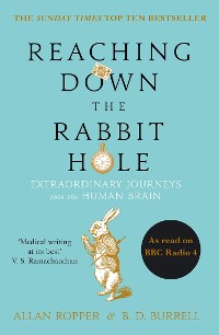 Cover Reaching Down the Rabbit Hole