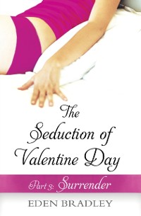 Cover Seduction of Valentine Day Part 3
