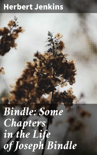 Cover Bindle: Some Chapters in the Life of Joseph Bindle