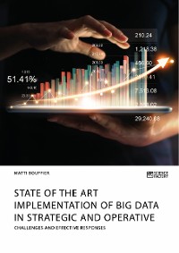 Cover State of the Art Implementation of Big Data in Strategic and Operative Marketing. Challenges and Effective Responses