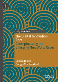 Cover The Digital Innovation Race