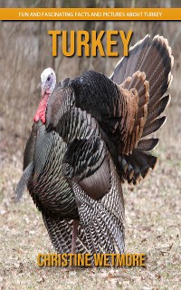 Cover Turkey - Fun and Fascinating Facts and Pictures About Turkey