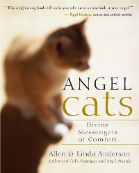 Cover Angel Cats