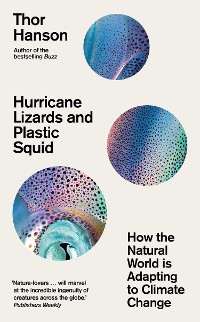 Cover Hurricane Lizards and Plastic Squid