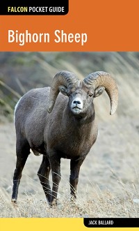 Cover Bighorn Sheep