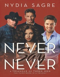 Cover Never Say Never: A Triangle of Three Men the Third Book In a Trilogy