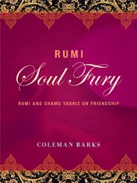 Cover Rumi: Soul Fury