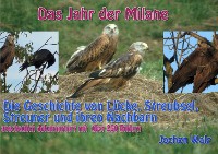 Cover Das Jahr der Milane