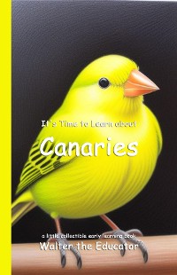 Cover It's Time to Learn about Canaries