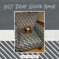 Cover Silly Bear Stays Home