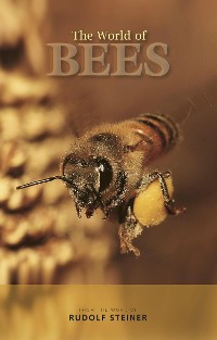 Cover The World of Bees