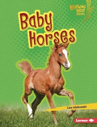 Cover Baby Horses