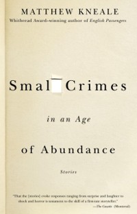 Cover Small Crimes in an Age of Abundance