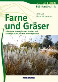 Cover Farne und Gräser
