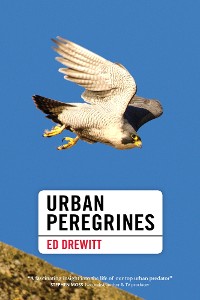 Cover Urban Peregrines