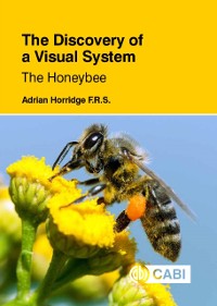 Cover Discovery of a Visual System - The Honeybee, The