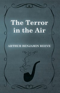 Cover Terror in the Air