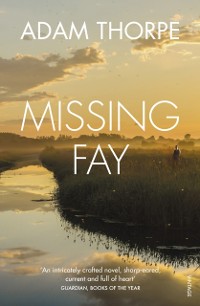 Cover Missing Fay