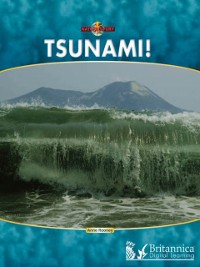 Cover Tsunami!