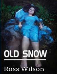Cover Old Snow