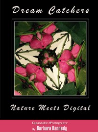 Cover DREAM CATCHERS  -  Nature Meets Digital