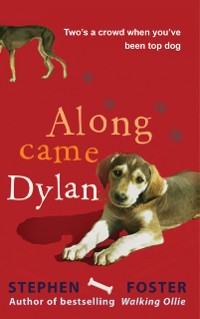 Cover Along Came Dylan: Two's a Crowd When You've Been Top Dog