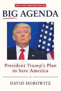 Cover Big Agenda