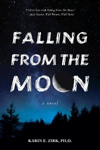 Cover Falling From The Moon