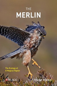 Cover The Merlin