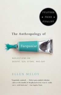 Cover Anthropology of Turquoise