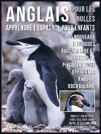 Cover Anglais Pour Les Nulles - Livre Anglais Français Facile A Lire