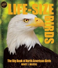 Cover Life Size Birds