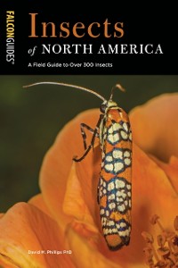 Cover Insects of North America