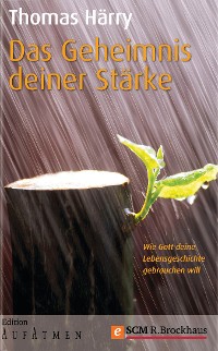 Cover Das Geheimnis deiner Stärke