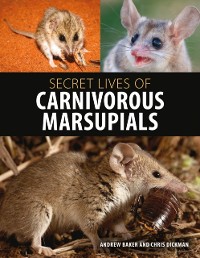 Cover Secret Lives of Carnivorous Marsupials