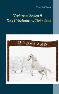 Cover Verlorene Seelen 9 - Das Geheimnis von Drömland