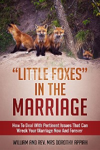 Cover "LITTLE FOXES IN THE MARRIAGE