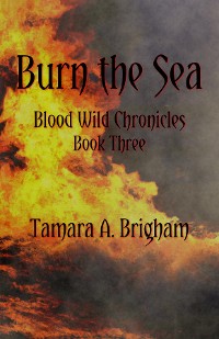 Cover Burn the Sea