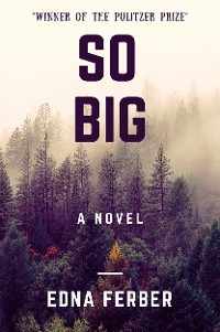 Cover So Big (A Novel)