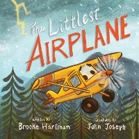 Cover The Littlest Airplane