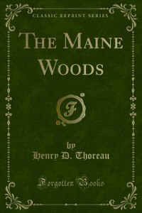 Cover Maine Woods