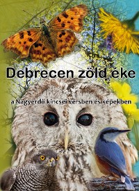 Cover Debrecen zöld éke (The Great Forest)