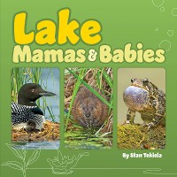 Cover Lake Mamas & Babies