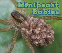 Cover Minibeast Babies