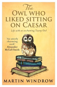 Cover Owl Who Liked Sitting on Caesar