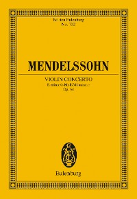 Cover Violin Concerto E minor