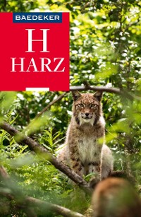 Cover Baedeker Reiseführer E-Book Harz