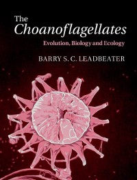 Cover Choanoflagellates